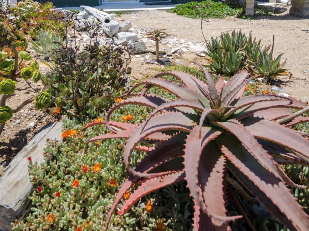 Beach Cottage Kleinzee Kleinsee Luaran gambar